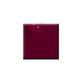 Colorbar Vegan Nail Lacquer-Whiny-062 8 ml - Nail Polish