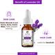 Passion Indulge LAVENDER  Essential oil  For hair gowth and sebum balancer, & stimulant 10ML - Essential Oils