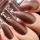 Bella Voste Sand Holo Nail Paints Dusty Chestnut - 410 10 ml - Nail Polish