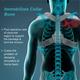 Tynor Clavicle Brace with Velcro (S) (C 05) - Back/Abdomen Supports