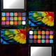 Makeup Revolution Forever Flawless Bird Of Paradise Eyeshadow Palette 19.8 gm - Eye Shadow Palettes