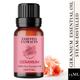 Essentia Extracts Geranium Essential Oil 15 ml - Essential Oils