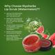 Riyo Herbs Rose Lip Scrub - Watermelon 25 gm - Lip Scrubs