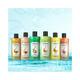 Medimix Ayur B Wsh Trmrc W Argn Oil 250 ml - Shower Gels & Body Wash