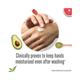 Lakme Hand and Nail Cream with Avocado Pentavitin and Almond Oil 30 gm - Hand Creams