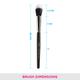 Vega Buffer Brush - Small (PB - 17) 38 gm - Face Brush