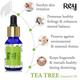 Rey Naturals Tea Tree and Rosemary Essential Oil 15ml each 2's - Essential Oils