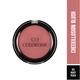 Colorbar Cheekillusion Blush New Rosey Peach-013 4 gm - Blushes