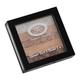 Fashion Colour Shimmer Brick And Blusher, Shade 06 8 gm - Blushes