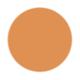 Pac Spotlight Liquid Concealer 10 Mocha 15gm - Concealer
