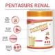 PentaSure Renal Powder - Vanilla Flavour 400 g - Daily Health Drinks