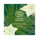 Juicy Chemistry Scalp Stimulating Serum 10ml - Hair Serums