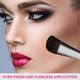 Vega Contour Brush  (PB - 01) 1's - Face Brush