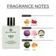 Bella Vita Organic Ceo Men Perfume Office Wear 100 ml - Men Perfumes (Edt/Edp)