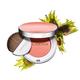 Clarins Joli Blush 06 5 gm - Blushes