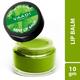 Vaadi Herbals Lip Balm - Mint 10 gm - Lip Balms