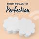 Gubb Makeup Wedges, Latex Free 8's - Sponges & Applicators