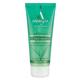 Aaranyaa Sulphate Free Face Wash Tea Tree Moringa 110 ml - Face Wash & Cleansers