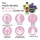 Soulflower Healthy Hair Oil - Rosemary Lavender 225 ml - Hair Oils