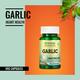 Morpheme Remedies Garlic 500mg Extract 60's - Digestive Health