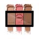 INSIGHT PROFESSIONAL TRIO FACE PALETTE (HIGHLIGHTER-BLUSHER-CONTOUR) 15 gm - Highlighters & Illuminators