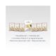 Aroma Blush Nourishing Papaya Facial Kit 65.0 gm - Facial Kits