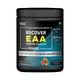 Healthvit Fitness EAA Essential Amino Acid Powder 300 gm - General Health