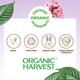 Organic Harvest Midnight Matte Liquid Eyeliner,Waterproof and Smudge-Proof, Certified Organic 4.5 ml - Eyeliners