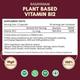 Rasayanam Plant Based Vitamin B12 Capsules 120's - Multi-Vitamins
