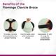 Flamingo Clavicle Brace (OC - 2018) (XXL) - Black & Turqoise blue - Abdomen/Neck/Arm/Elbow Supports