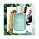 Davidoff Run Wild Man & Woman Eau De Toilette Spray 100 ml - Perfumes (Edt/Edp)