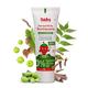 Baby Organo Ayurvedic Herbal Kids Toothpaste - Strawberry 50 gm - Baby Oral Care