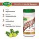 Swadeshi Amalki Rasayan Powder 100 gm - Speciality Medicines