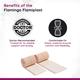 Flamingo Flamiplast Elastic Adhesive Bandage (OC - 2068) (10 cm x 1 mtr) - Bandages