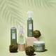 Silky Technobasics Ylang Feel Good Shampoo 1000 ml - Shampoos