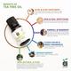 Anveya Essential Oils Set 105 ml - Essential Oils