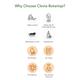 Clovia Botaniqa Anti Hair Fall Shampoo & Conditioner 550 ml - Shampoos