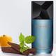 Issey Miyake Fusion d Issey EDT 100 ml - Men Perfumes (Edt/Edp)