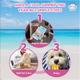 Pup Ice Rocket Lollies Banana & Chocolate Flavour 2's - Petfood