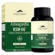 Rasayanam Ashwagandha KSM66 600Mg Capsules 60's - General Health