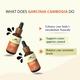 Rasayanam Garcinia Cambogia 1500 MG Liquid - Natural Mango Flavour 50 ml - Weight Loss