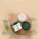 Biotique Wheatgerm Anti-Ageing Night Cream 50gm - Face Creams