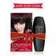 Revlon Colorsilk Hair Color With Keratin 3D Color No Ammonia - 1N Black 90.8ml + Free Outrageous Shampoo 90ml 1's - Crème