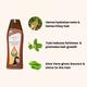 Ayur Herbals Henna Tulsi Shampoo 500 ml - Personal Care (Ayush)