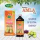 Swadeshi Keshari Amla Ras 1000 ml - Health Products