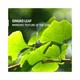 Phy Mountain Rain Invigorating Body Wash B1G1 600 ml - Shower Gels & Body Wash
