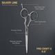 Vega Professional Pro Craft E 5.5' Silver Line Hairdressing Scissor (VPVSC-20) 1's - Grooming Kits