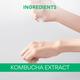 Innisfree Kombucha Energy Mask 22 ml - Sheet Masks