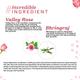 Atulya Valley Rose Conditioner 300 ml - Conditioners