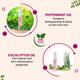 GynoCup Reusable Menstrual Cup - Small + Natural Intimate GynoWipe 10's - Menstrual Cups